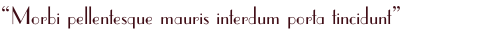 “Morbi pellentesque mauris interdum porta tincidunt”
